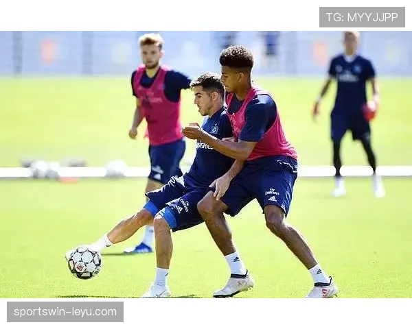 汉堡攻防表现均衡,近期状态稳健 汉堡攻防表现均衡,近期状态稳健