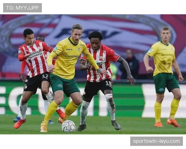 维特斯球队结构