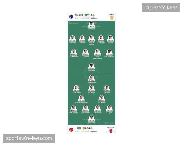 世界杯土耳其队D组首轮比赛预测 世界杯土耳其队D组首轮比赛预测